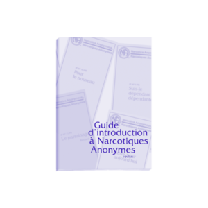 Guide d'introduction à NA